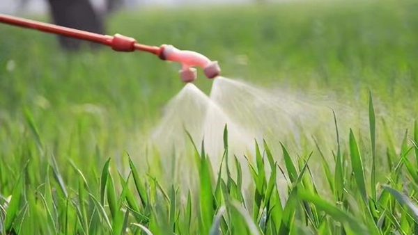 Пестициди и ѓубрива